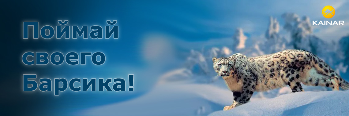 Скидка на Барсики