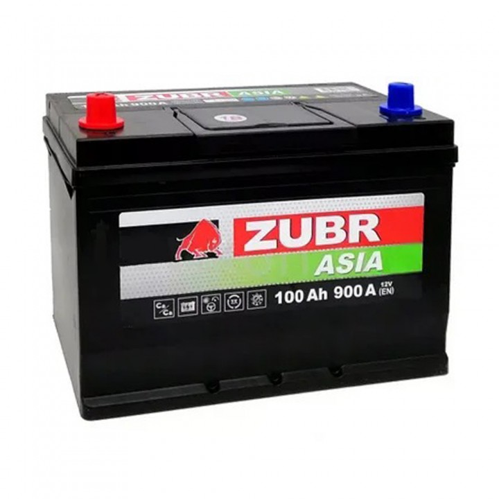Аккумулятор Zubr Asia 100Ач 900А +/- на сайте 6st.kz
