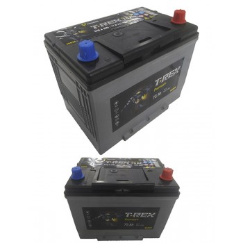 Аккумулятор T-REX Asia 75 Ah 640 A -/+