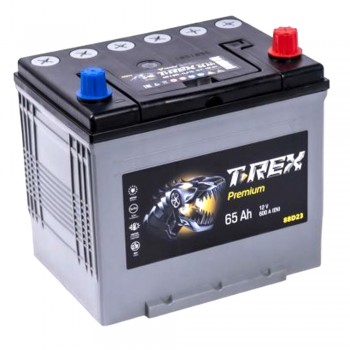 Аккумулятор T-Rex 65Ah 600A -/+