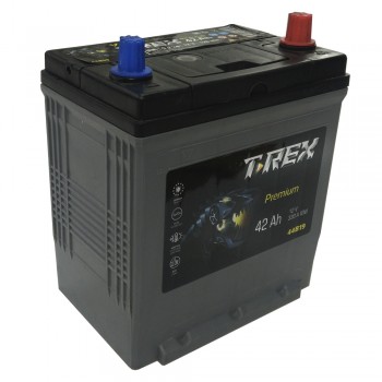 Аккумулятор T-REX Asia 42 Ah 330A -/+