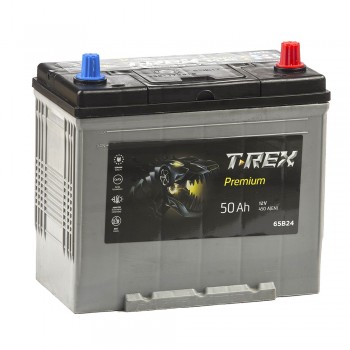 Аккумулятор T-REX Asia 50 Ah 450A -/+