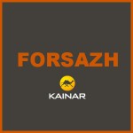 Аккумуляторные батареи бренда Forsazh