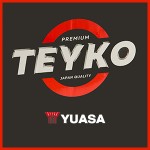Аккумуляторные батареи бренда TEYKO