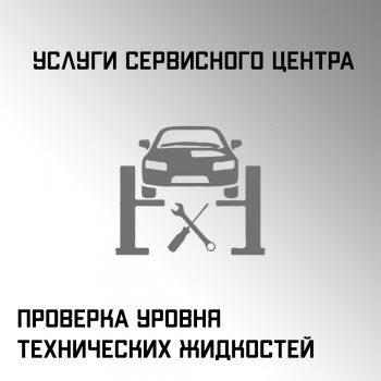 Проверка уровня технических жидкостей